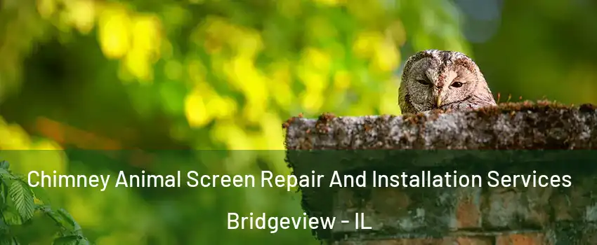  Chimney Animal Screen Repair And Installation Services Bridgeview - IL