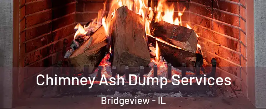  Chimney Ash Dump Services Bridgeview - IL