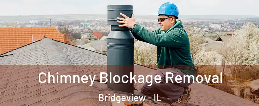  Chimney Blockage Removal Bridgeview - IL