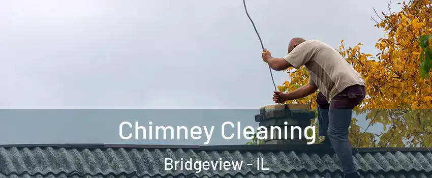  Chimney Cleaning Bridgeview - IL
