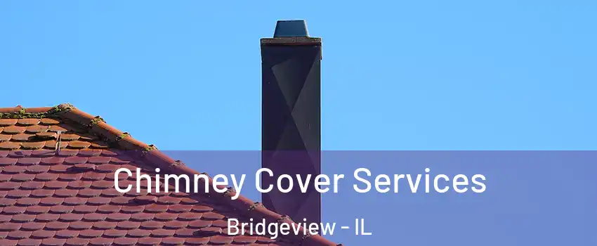  Chimney Cover Services Bridgeview - IL