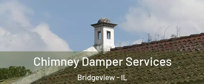  Chimney Damper Services Bridgeview - IL