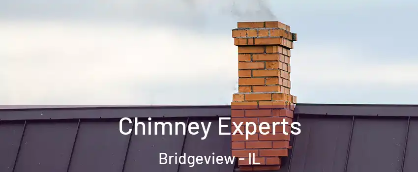  Chimney Experts Bridgeview - IL