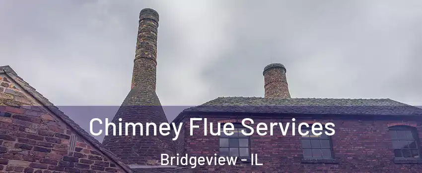  Chimney Flue Services Bridgeview - IL