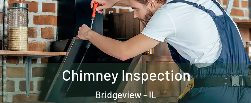  Chimney Inspection Bridgeview - IL