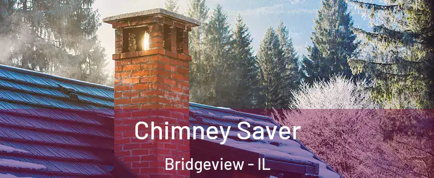  Chimney Saver Bridgeview - IL