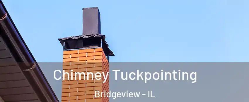  Chimney Tuckpointing Bridgeview - IL