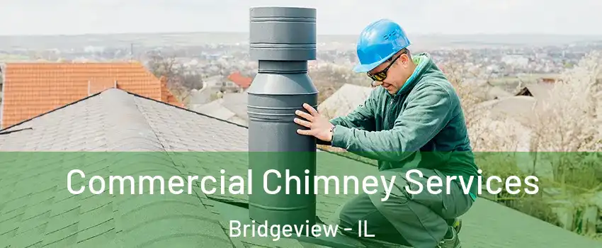  Commercial Chimney Services Bridgeview - IL