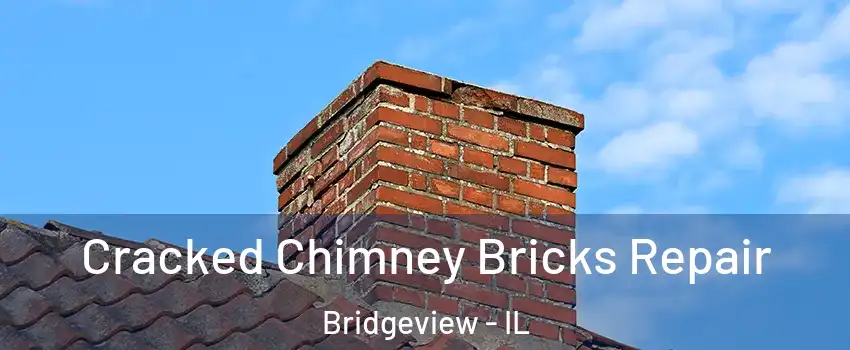  Cracked Chimney Bricks Repair Bridgeview - IL