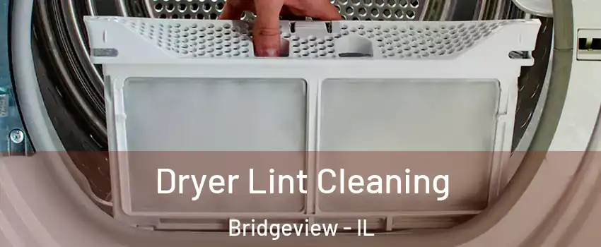  Dryer Lint Cleaning Bridgeview - IL