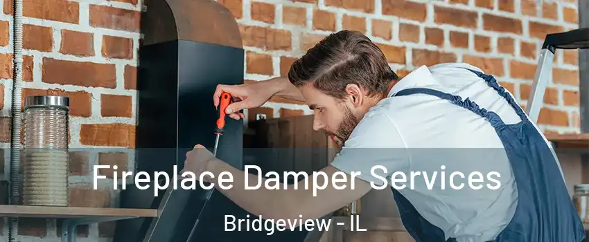 Fireplace Damper Services Bridgeview - IL