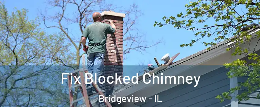  Fix Blocked Chimney Bridgeview - IL