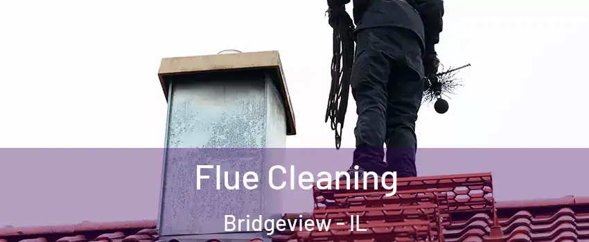  Flue Cleaning Bridgeview - IL