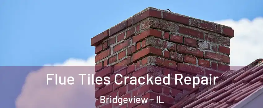  Flue Tiles Cracked Repair Bridgeview - IL