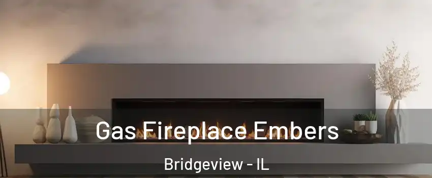  Gas Fireplace Embers Bridgeview - IL