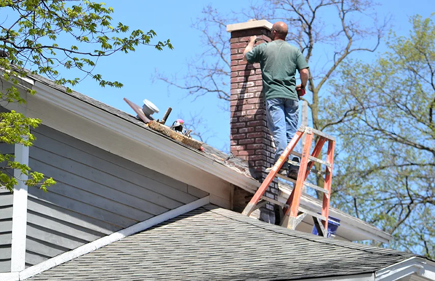 Chimney & Fireplace Inspections Services in Bridgeview, IL