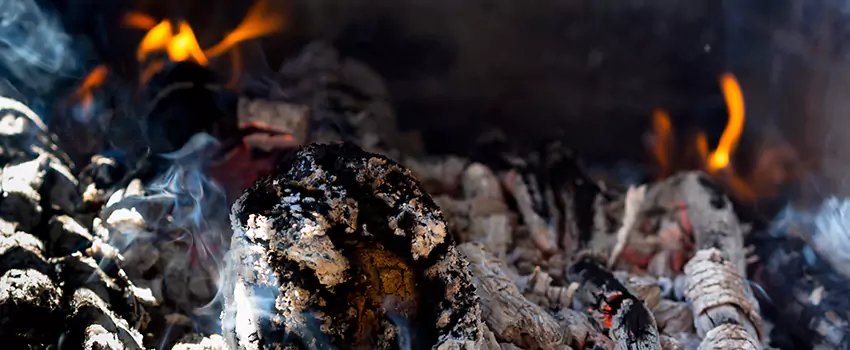 Creosote Removal Experts in Bridgeview, IL