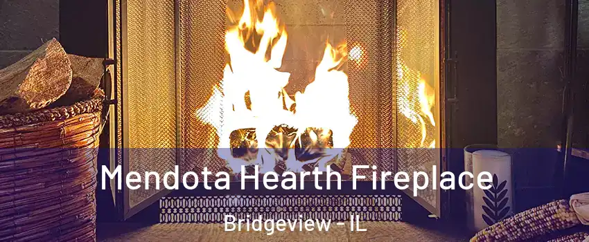  Mendota Hearth Fireplace Bridgeview - IL