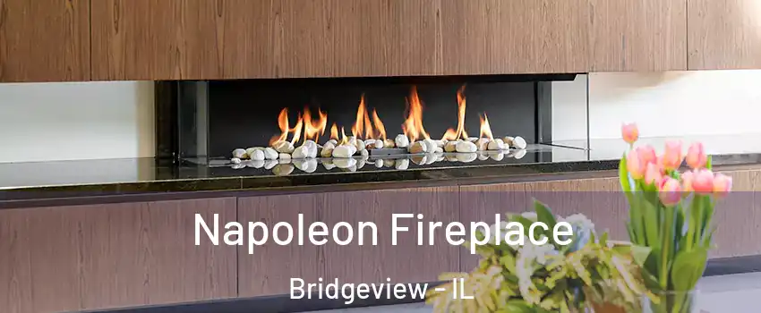  Napoleon Fireplace Bridgeview - IL