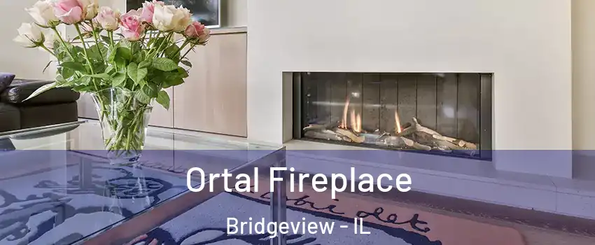 Ortal Fireplace Bridgeview - IL